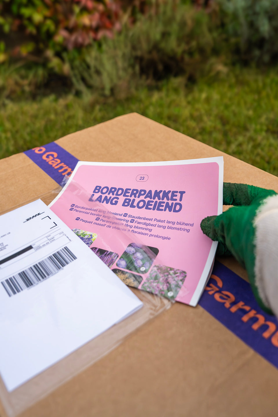 Staudenbeet Paket Romantisch