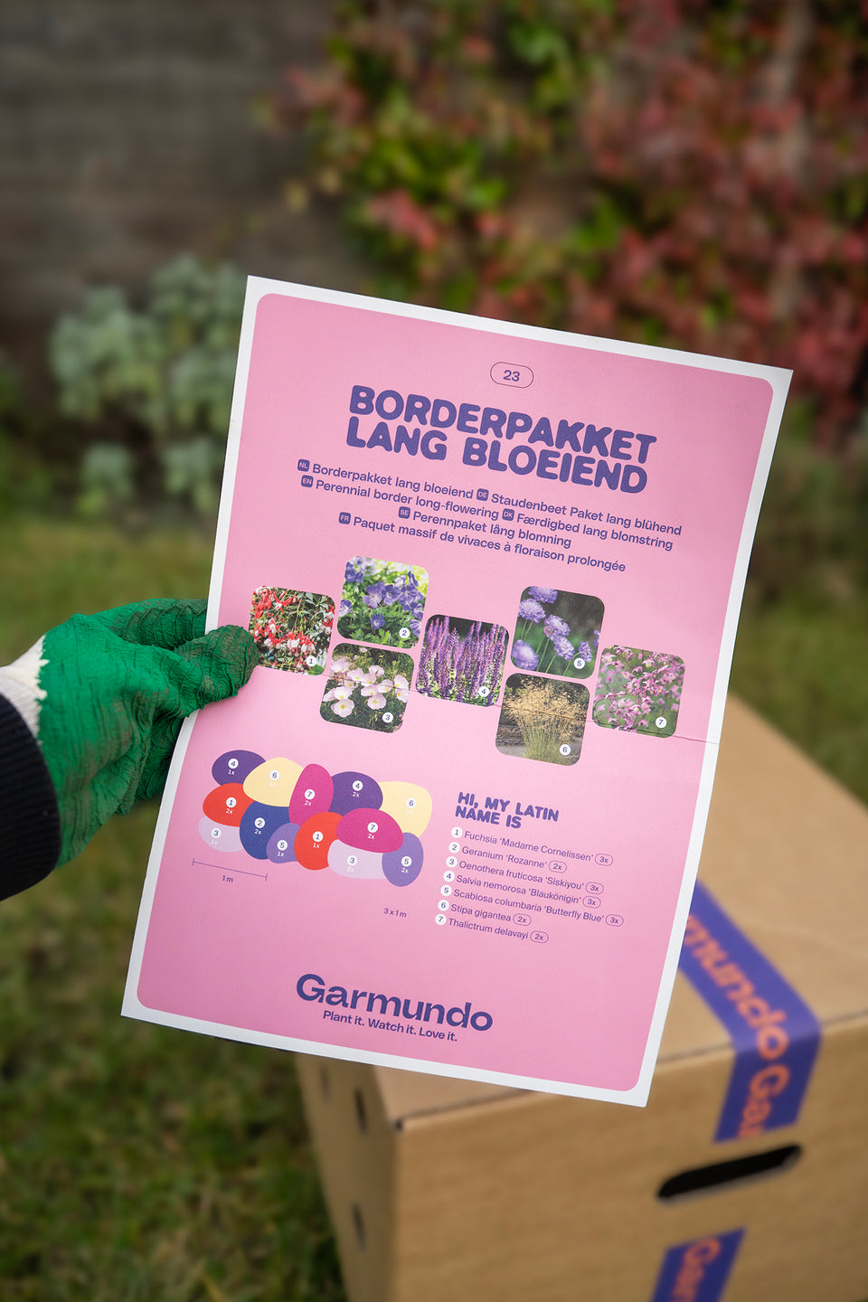 Staudenbeet Paket Romantisch