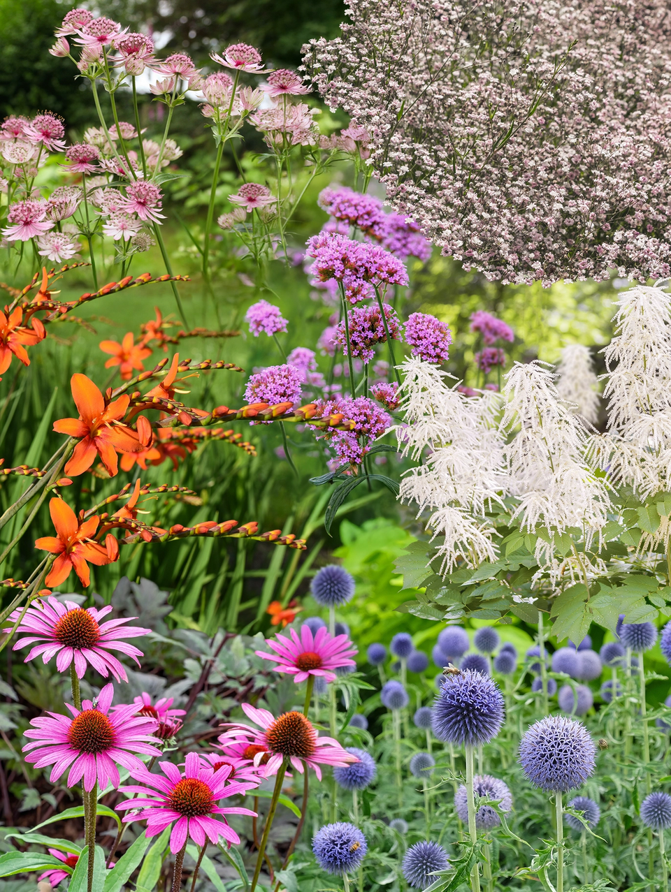 Staudenbeet Paket Schnittblumen